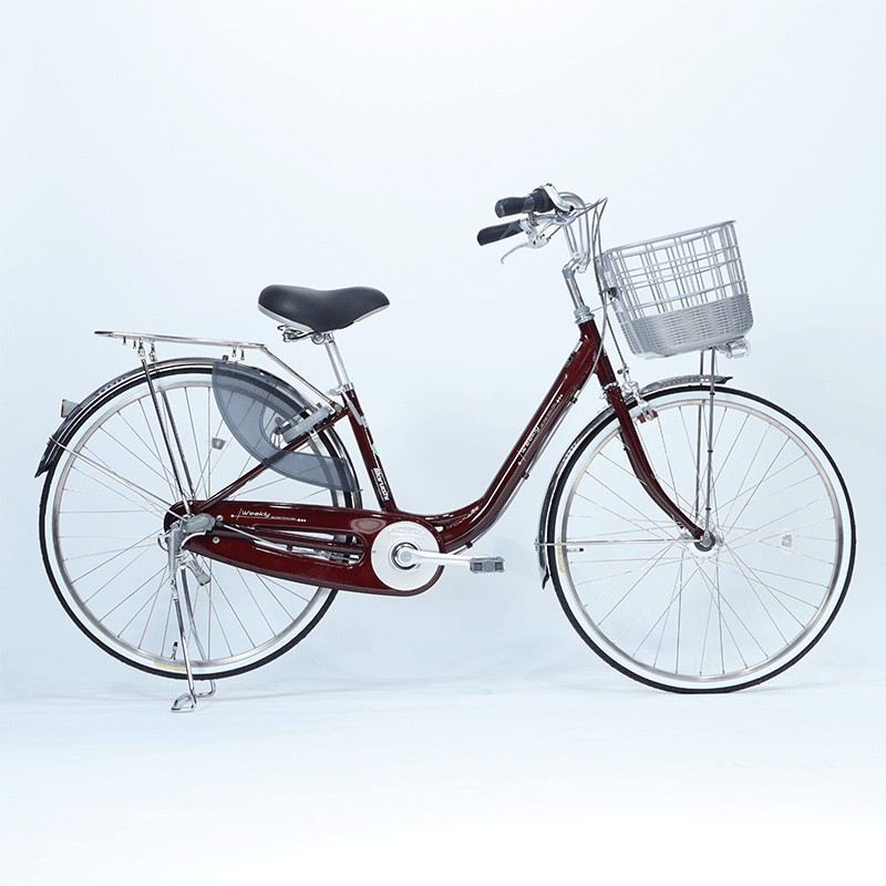 Có nên mua xe đạp mini cũ  Xe đạp Nghĩa Hải