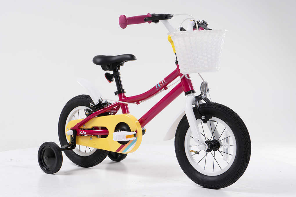 Xe đạp cho trẻ em từ 2-4 tuổi