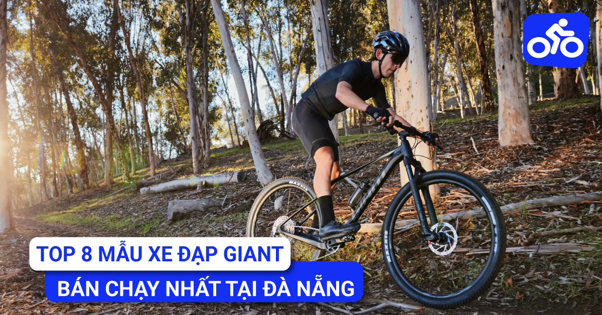 “Săn Lùng” Top 6 Mẫu Xe Đạp Giant Bán Chạy Nhất Tại Đà Nẵng