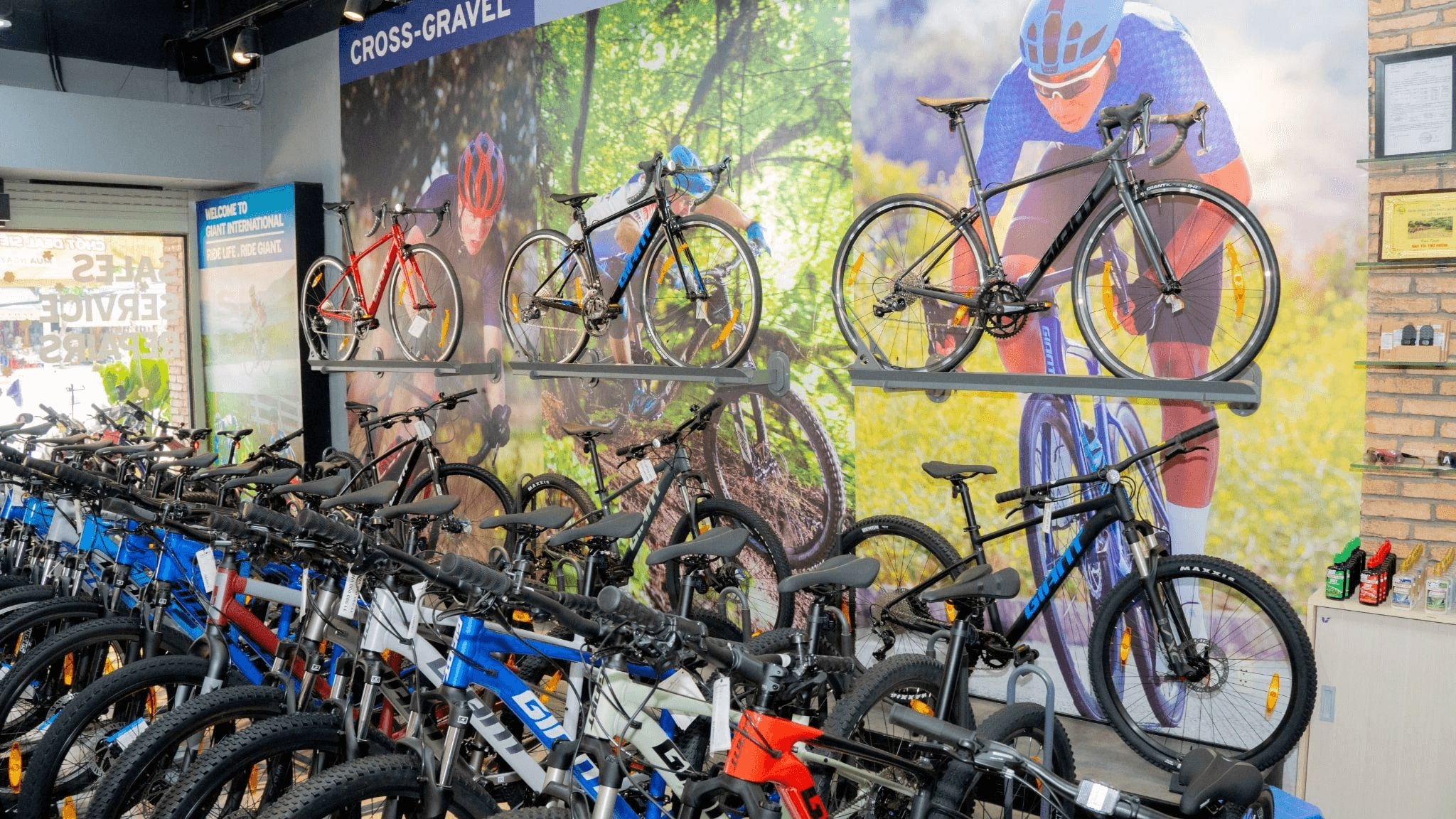 Top 7 cửa hàng bán xe đạp cho trẻ em chính hãng TPHCM 2023