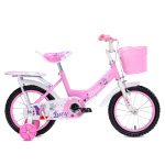 Xe Đạp Trẻ Em Youth MAX BIKE Lucy 2 – Bánh 14 Inches – Pink