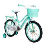 Xe Đạp Trẻ Em Youth MAX BIKE Xuka 2 – Bánh 18 Inches