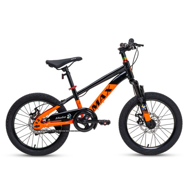 Xe Đạp Trẻ Em Youth MAX BIKE Hola 20 – Phanh Đĩa, Bánh 20 Inches