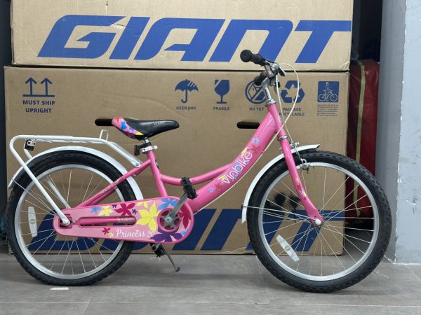 Xe Đạp Trẻ Em YOUTH VINBIKE PRINCESS 20 – BÁNH 20 INCHES – 2021 – XE CŨ