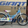 Xe Đạp Trẻ Em YOUTH VINBIKE PRINCESS 20 – BÁNH 20 INCHES – 2021 – XE CŨ