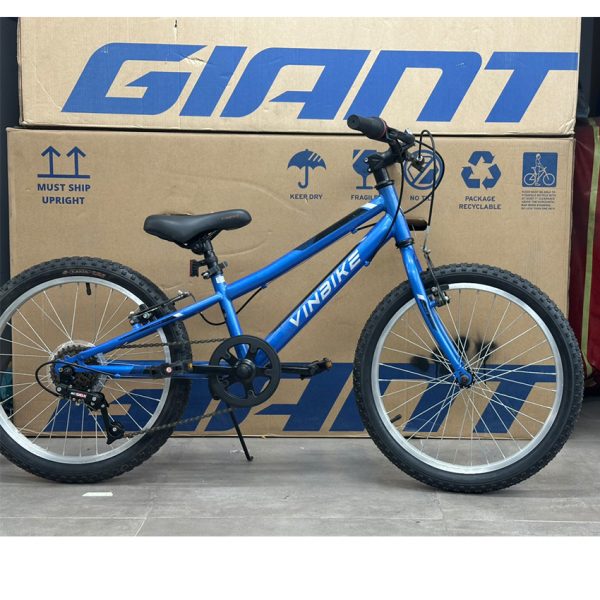 Xe Đạp Trẻ Em YOUTH VINBIKE HOLA 20 – BÁNH 20 INCHES – 2021 – XE CŨ